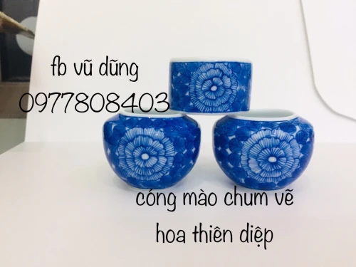 cóng chum mào vẽ hoa thiên diệp