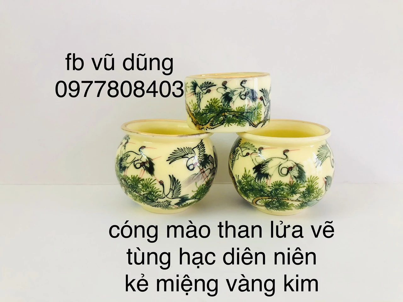 Cóng chào mào cao cấp