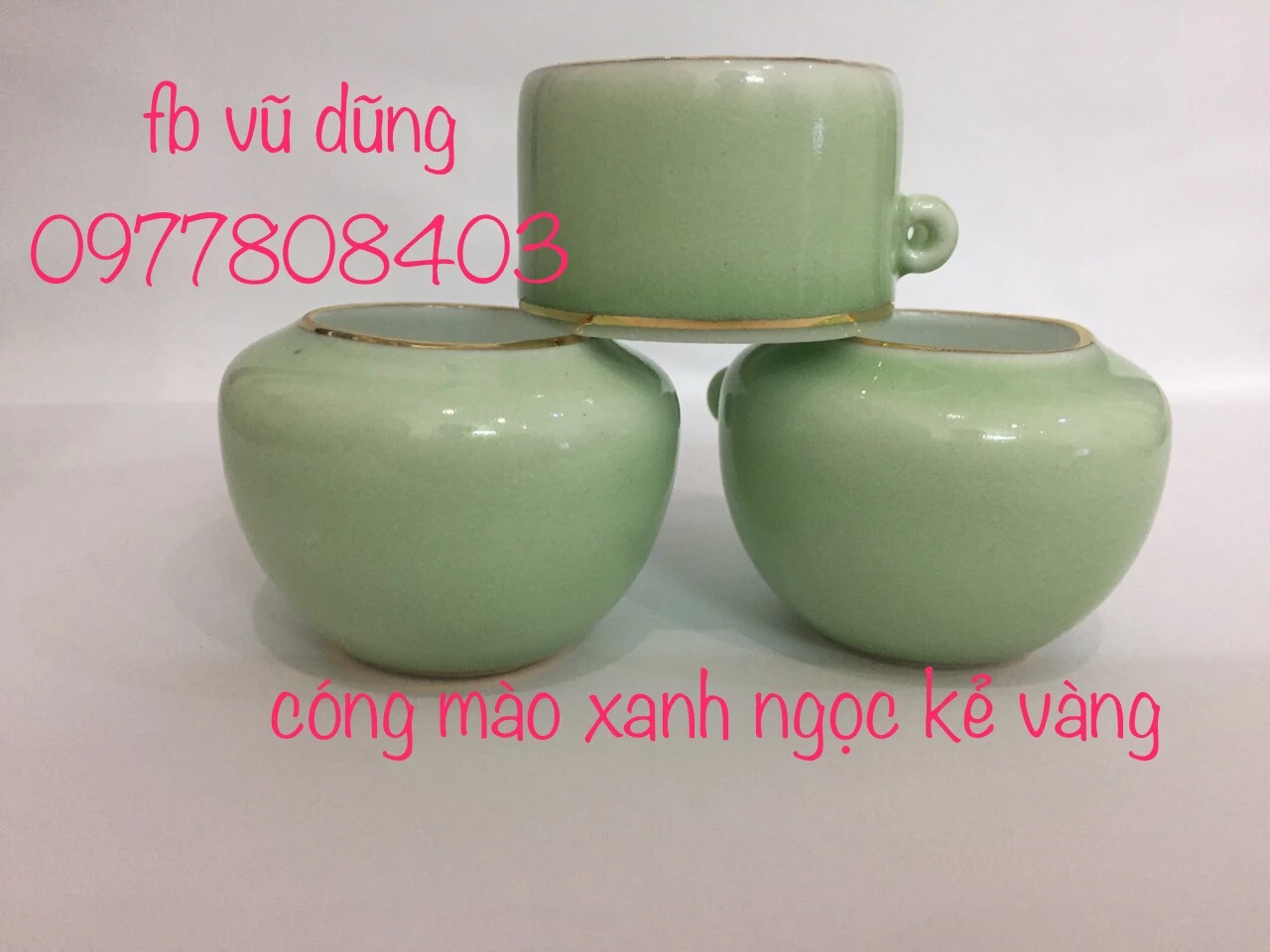 cóng mào xanh ngọc kẻ miệng vàng kim