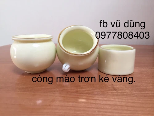 cóng mào miệng lật vàng trơn kẻ miệng vàng kim