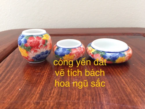 Cóng Yến đất