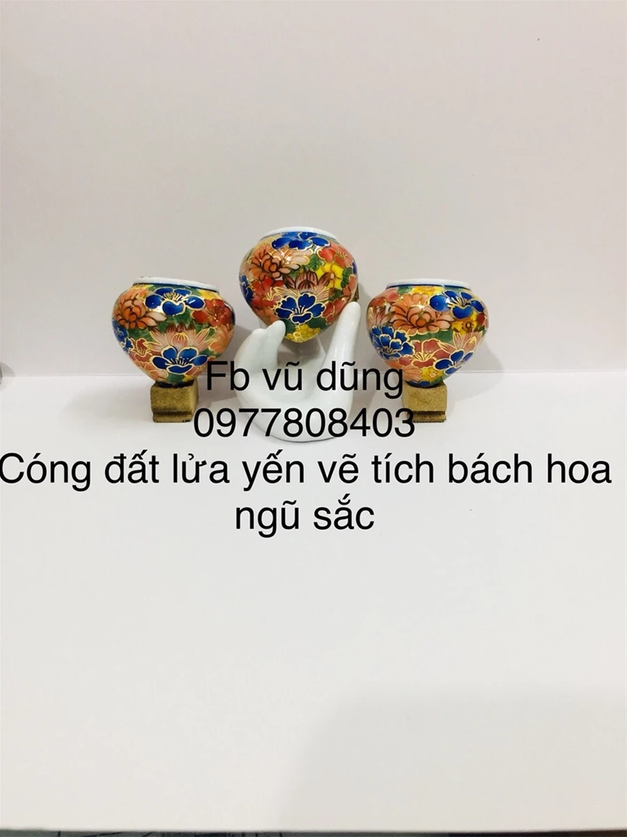 Cóng Yến đất