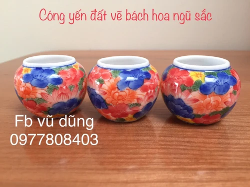 Cóng Yến đất