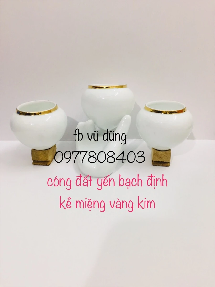 Cóng Yến đất