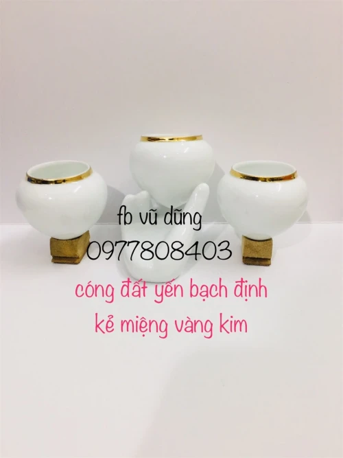 Cóng Yến đất