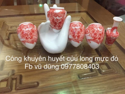 cóng khuyên đạn vẽ nhất long mực đỏ