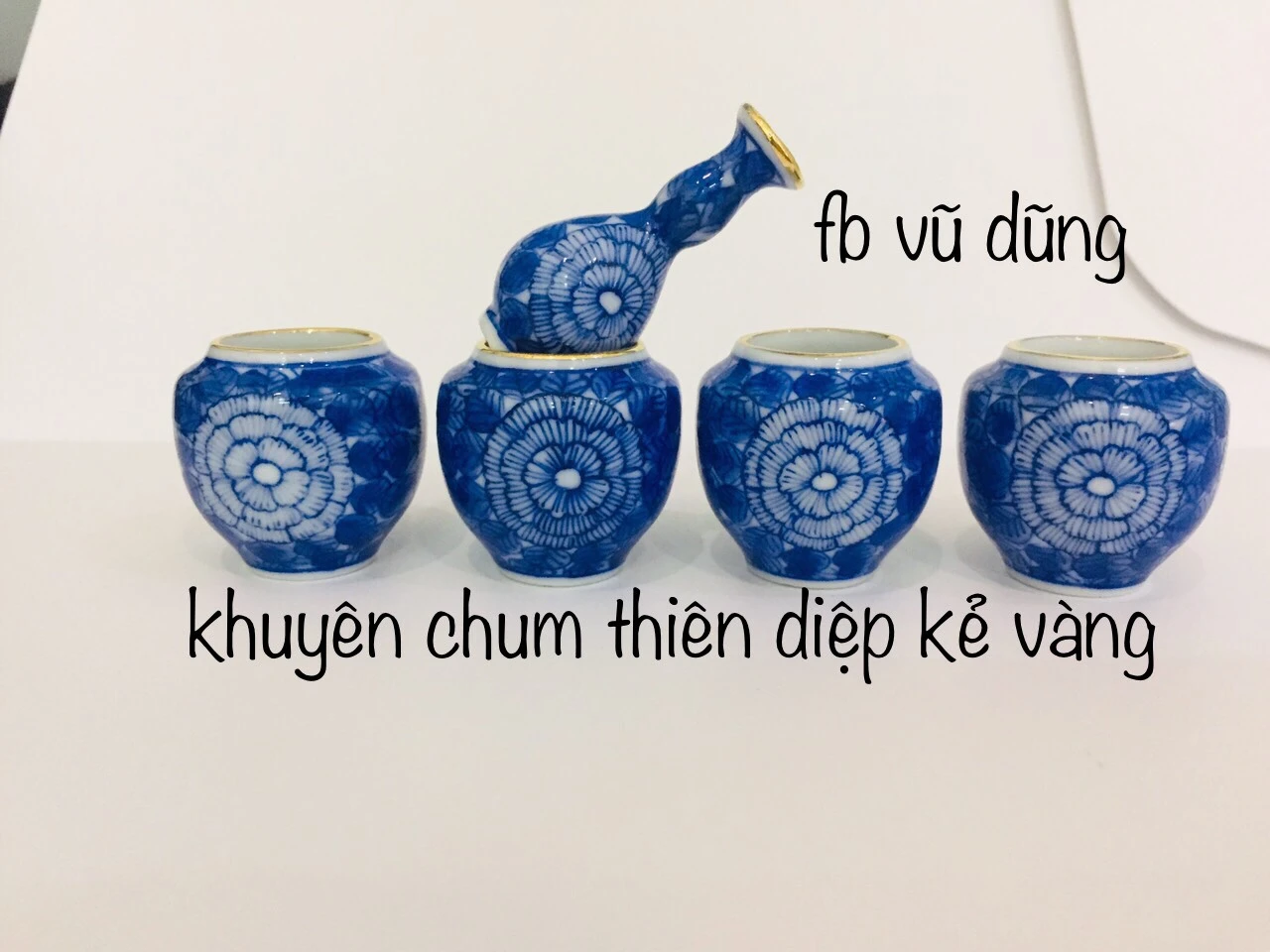 cóng khuyên chum vẽ tích hoa thiên diệp (kẻ miệng vàng kim)