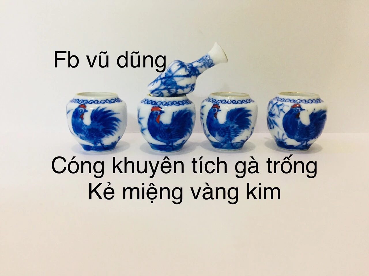 cóng khuyên tích gà trống kẻ miệng vàng kim